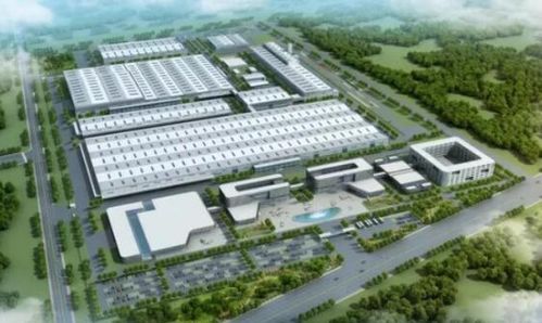 活力萊西 產業園區聯動與政務窗口齊轉，強化聯動提效率激活汽車銷售鏈